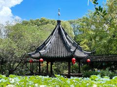 景点-上海醉白池公园