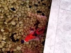 -香江明珠休闲水汇(罗湖村店)