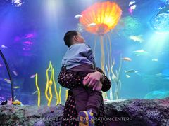 -沈阳海洋探索中心