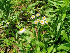 -嬉子湖生态旅游区