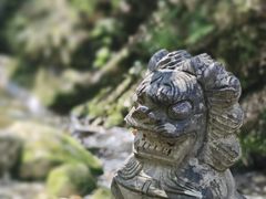 -牛背梁国家森林公园