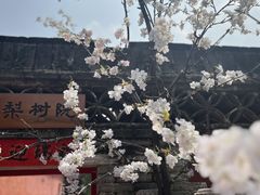 -潭柘寺景区