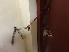 -九龙餐厅(大沽路店)