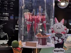 -哈根达斯(武汉天地店)
