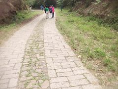 -上海佘山国家森林公园西佘山园