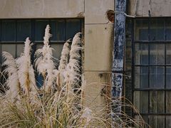 -南京晨光1865创意产业园
