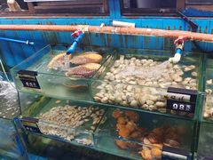 -蓝湾碧波·老字号·疍家非遗海上餐厅