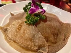 空运绿色毛肚-渝利重庆火锅