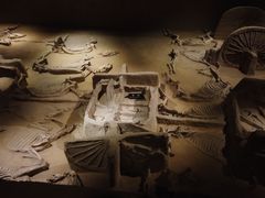 -洛阳周王城天子驾六博物馆