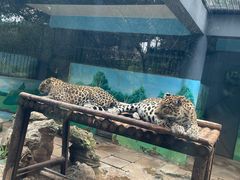-昆明动物园