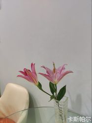 -太原丽都医疗美容医院