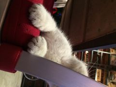 Mikaku-MIKAKU(万达广场上海宝山店)