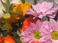 -山芋腔苏北菜(盐城滨海店)