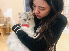 -Let's go狗咖·猫咖·奶狗·桌游(春熙路IFS店)