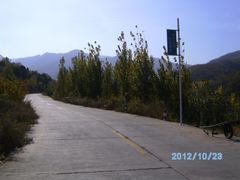 -鲁山国家森林公园