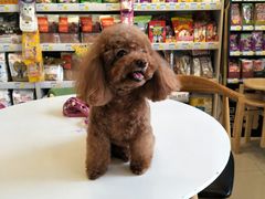 -我爱吾宠宠物美容院(朝阳路店)