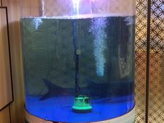 -解家河南菜(金水路店)