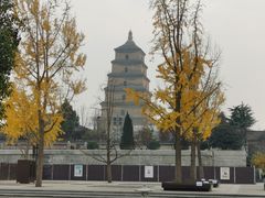 -大雁塔北广场音乐喷泉