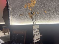 -希屿·Xislands融合餐厅