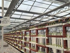 -兴芮温泉度假区