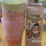 厦门新店｜首创开心果奶盖7.9圆一杯