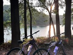 -红花湖景区