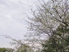 -凤凰沟景区