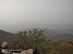 -紫金山天文台