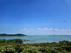 -江南里·新浙菜(苏州大悦城店)