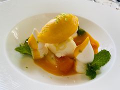 -蝶舍·MAISON PAPILLON