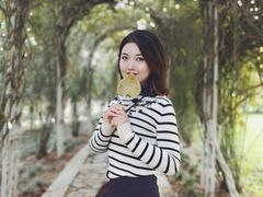 -合肥滨湖国家森林公园