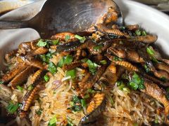 -侨美·唐荔园·40年地道粤菜