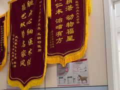 -中农国际动物医院24小时·猫科·骨科·急重症中心
