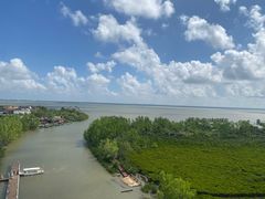 -东寨港红树林旅游区