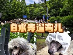-白水寺森林公园