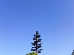 -洋湖国家湿地公园
