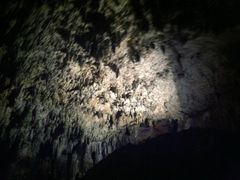 -波斯托伊纳溶洞