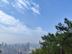 -南山植物园