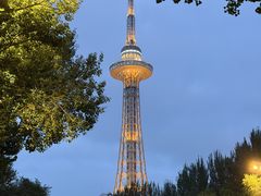 -龙塔