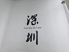 -平安金融中心云际观光层