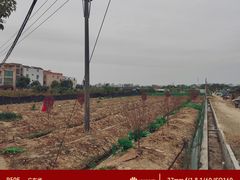 -南国桃园旅游度假区