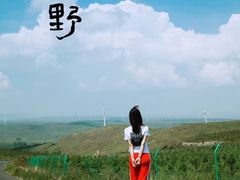 -张北坝上草原