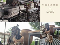 -喜洲吧·江畔老船厂·庭院餐厅(喜临院店)