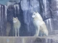 -多彩贵州城极地海洋世界