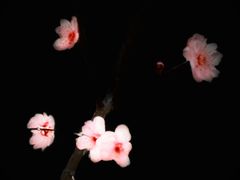-无锡梅园公园