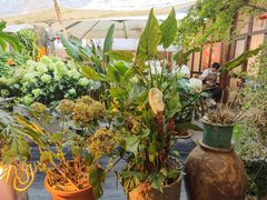 -小喜客·云南特色菜(纳西庭院店)