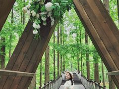 -黄海国家森林公园