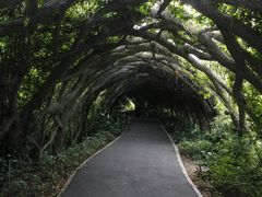 -广西壮族自治区药用植物园