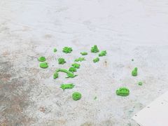 -蕃茄田艺术•美术绘画 •硬笔书法(滨江海威领界店)