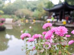 -汇龙潭